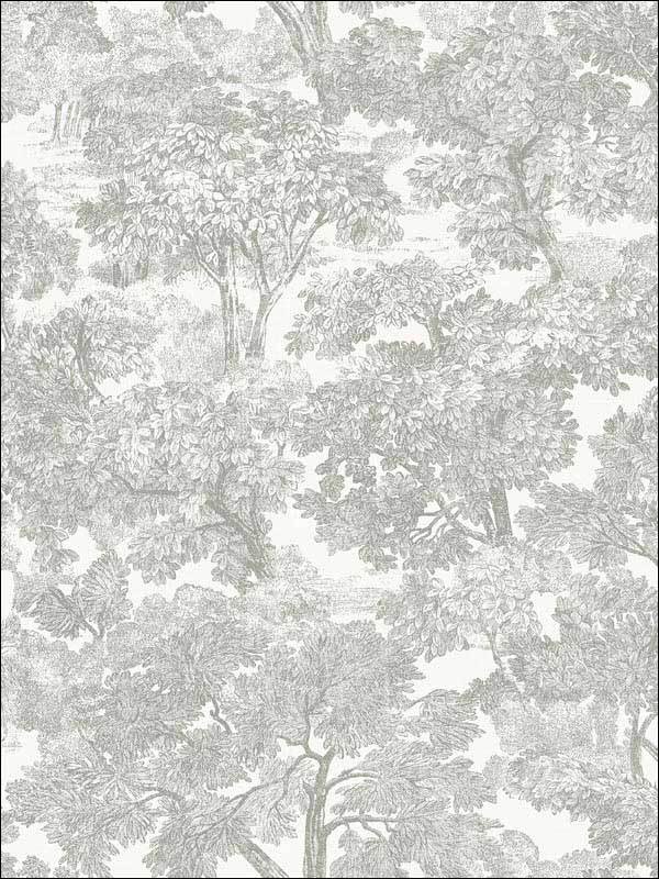 Spinney Toile wallpaper in grey color - pattern number 3115-12541 - by Chesapeake in the Farmhouse collection