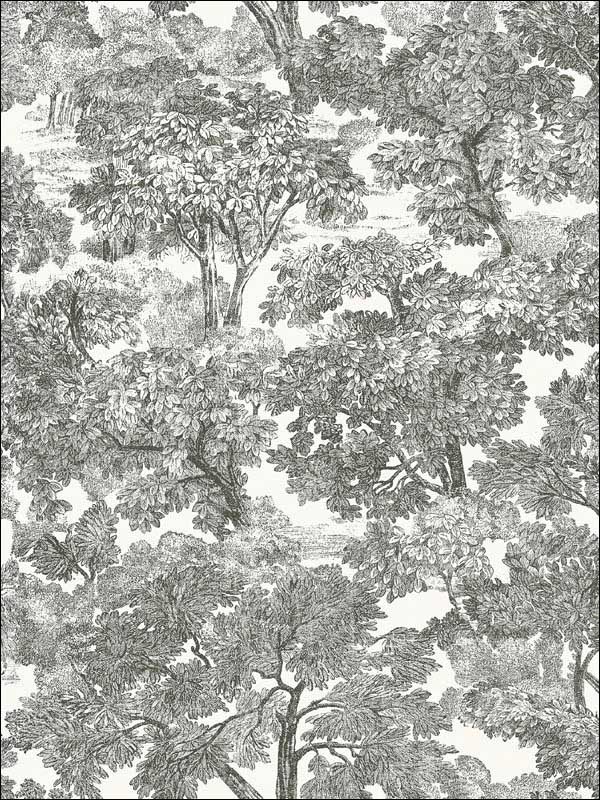 Spinney Toile wallpaper in black color - pattern number 3115-12542 - by Chesapeake in the Farmhouse collection
