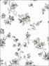 Cyrus Floral fabric in black color - pattern number 3115-24482 - by Chesapeake in the Farmhouse collection