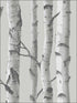 Mountain Birch Peel and Stick fabric in grey color - pattern number NU1694 - by Brewster in the NuWallpaper II collection