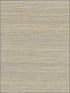 Grasscloth Sisal W3313 fabric in ivory taupe color - pattern number W3313.106.0 - by Kravet in the Elements Grasscloth collection