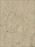 Cork W3319 fabric in gold beige metallic color - pattern number W3319.106.0 - by Kravet in the Elements Grasscloth collection