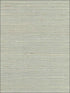 Grasscloth W3454 fabric in sage light green color - pattern number W3454.130.0 - by Kravet in the Elements Grasscloth collection