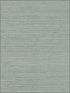 Grasscloth W3454 fabric in light blue light grey color - pattern number W3454.15.0 - by Kravet in the Elements Grasscloth collection