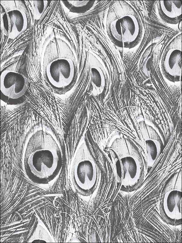 Peacock fabric in black grey metallic silver color - pattern number MH36518 - by Patton Norwall in the Manor House by Norwall collection
