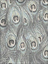 Peacock fabric in turquoise grey color - pattern number MH36519 - by Patton Norwall in the Manor House by Norwall collection