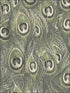 Peacock fabric in green color - pattern number MH36520 - by Patton Norwall in the Manor House by Norwall collection