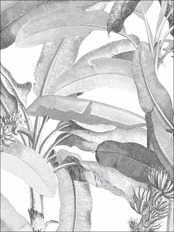 Polynesian Leaves fabric in black and white color - pattern number MH36533 - by Patton Norwall in the Manor House by Norwall collection