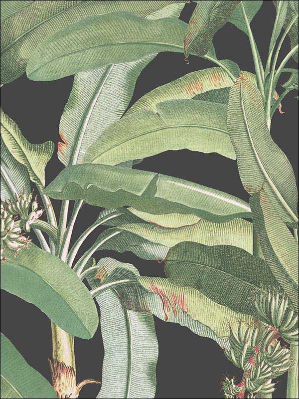 Polynesian Leaves fabric in black green color - pattern number MH36535 - by Patton Norwall in the Manor House by Norwall collection