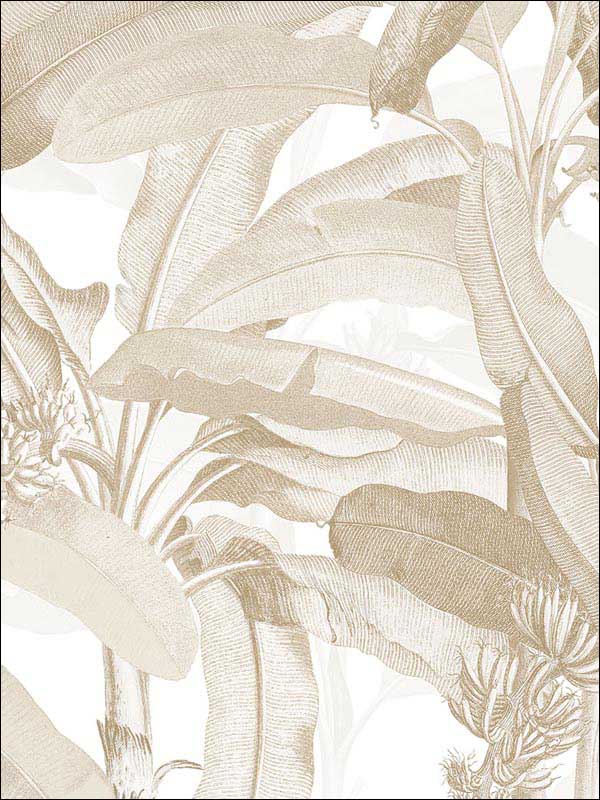 Polynesian Leaves fabric in tan beige color - pattern number MH36536 - by Patton Norwall in the Manor House by Norwall collection