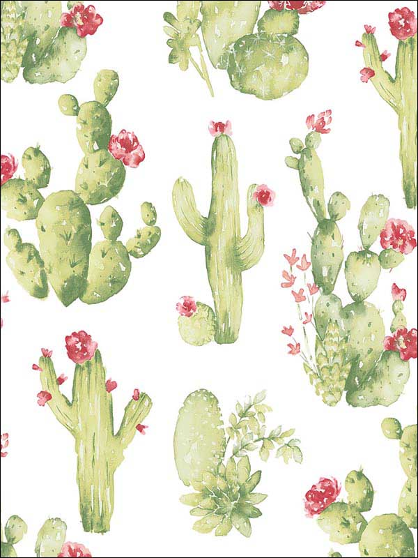 Cactus wallpaper in green red color - pattern number CK36630 - by Patton Norwall in the Creative Kitchens collection
