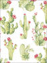 Cactus wallpaper in green red color - pattern number CK36630 - by Patton Norwall in the Creative Kitchens collection