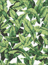 Palm Leaf Peel and Stick fabric in green color - pattern number RMK11045WP - by York in the Peel and Stick Wallpaper by York collection