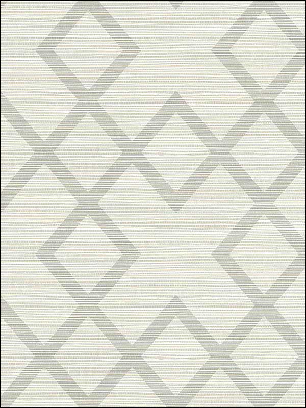 Vana Woven Diamond fabric in light grey color - pattern number 2765-BW40408 - by Kenneth James in the GeoTex collection