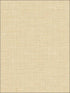 Alix Twill fabric in light yellow color - pattern number 2765-BW40605 - by Kenneth James in the GeoTex collection