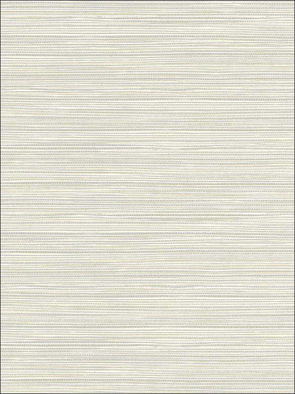 Bondi Grasscloth Texture fabric in light grey color - pattern number 2765-BW40908 - by Kenneth James in the GeoTex collection