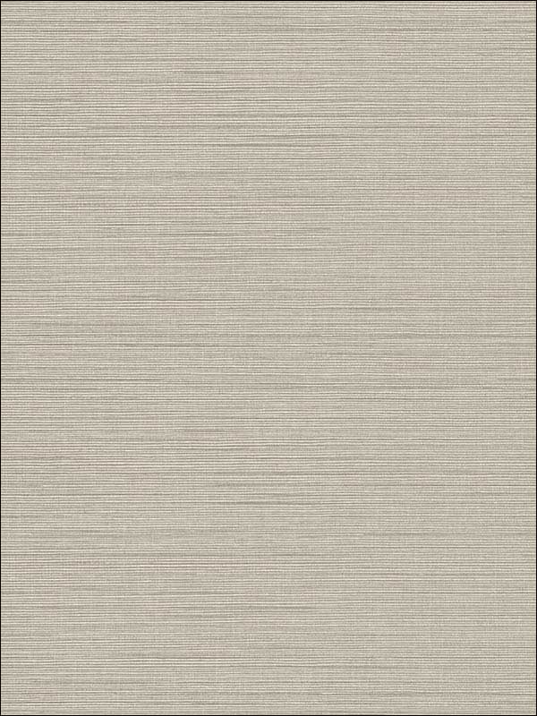 Agena Sisal wallpaper in grey color - pattern number 2765-BW41004 - by Kenneth James in the GeoTex collection