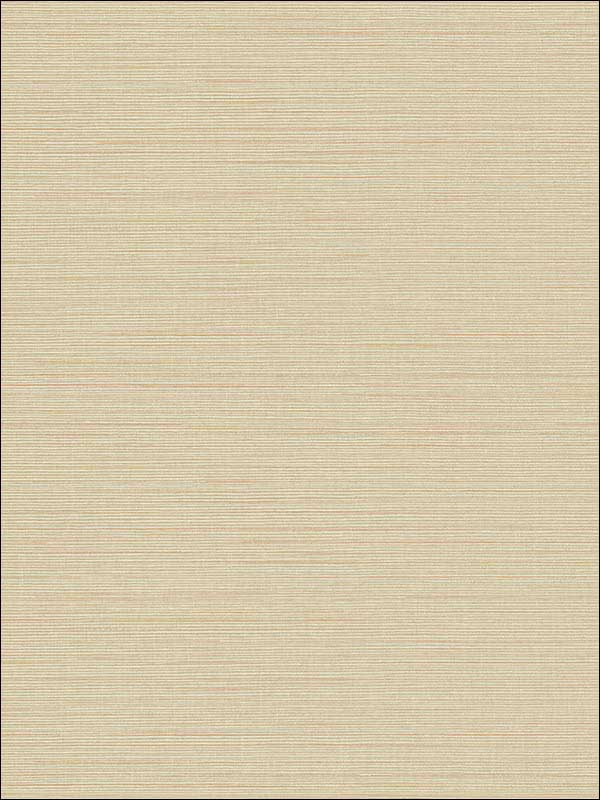 Agena Sisal wallpaper in beige color - pattern number 2765-BW41007 - by Kenneth James in the GeoTex collection