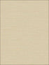 Agena Sisal wallpaper in beige color - pattern number 2765-BW41007 - by Kenneth James in the GeoTex collection