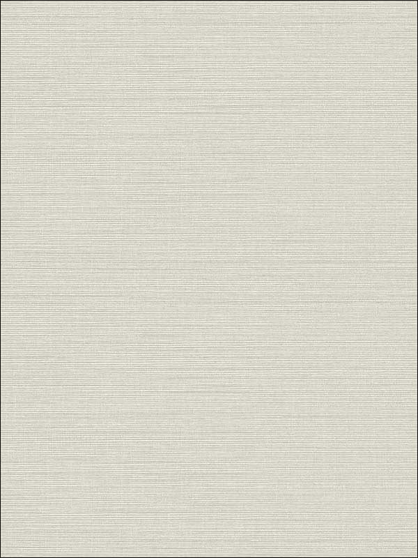 Agena Sisal wallpaper in light grey color - pattern number 2765-BW41008 - by Kenneth James in the GeoTex collection