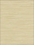 Bondi Grasscloth Texture fabric in wheat color - pattern number 2765-BW40915 - by Kenneth James in the GeoTex collection