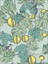 Frutto Proibito fabric in seafoam and lemon color - pattern number 114/1002.CS.0 - by Cole and Son in the Fornasetti III collection