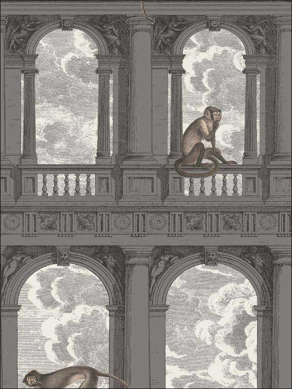 Procuratie Con Vista fabric in soot and snow color - pattern number 114/8016.CS.0 - by Cole and Son in the Fornasetti III collection