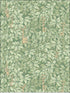 Chiavi Segrete fabric in olive color - pattern number 114/9018.CS.0 - by Cole and Son in the Fornasetti III collection