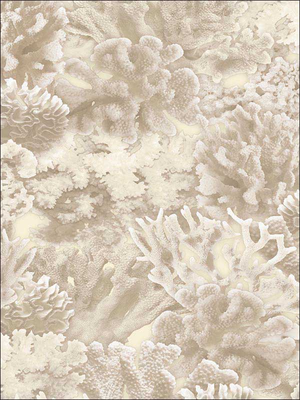 Coral fabric in beige antique white cottage white color - pattern number FH37501 - by Patton Norwall in the Farmhouse Living collection