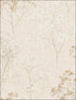 Queen Annes Lace fabric in beige wheat color - pattern number FH37508 - by Patton Norwall in the Farmhouse Living collection