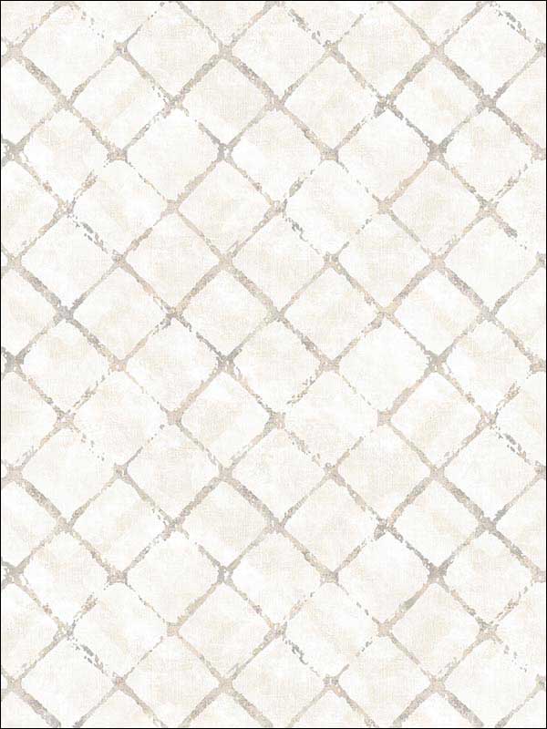 Chicken Wire fabric in beige grey swiss coffee cream color - pattern number FH37550 - by Patton Norwall in the Farmhouse Living collection
