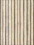 Bamboo wallpaper in brown color - pattern number G67940 - by Patton Norwall in the Organic Textures collection