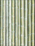 Bamboo wallpaper in green color - pattern number G67941 - by Patton Norwall in the Organic Textures collection