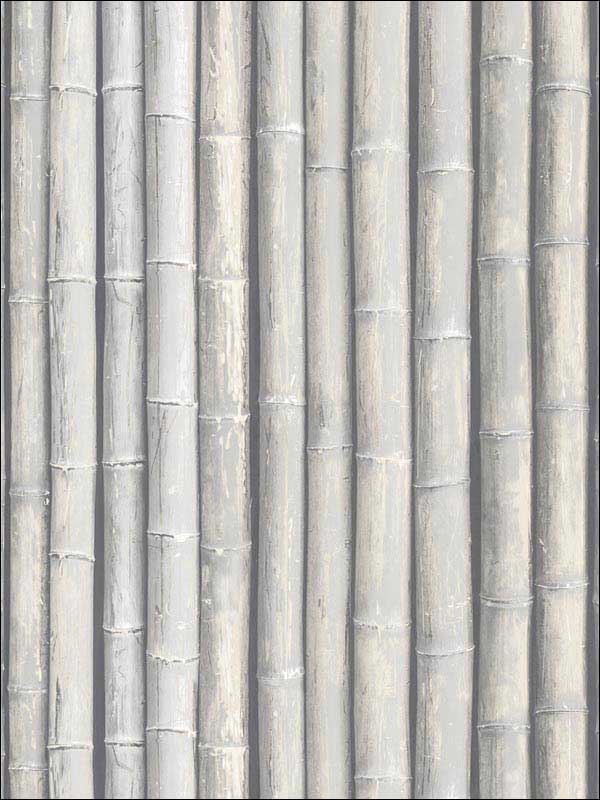 Bamboo wallpaper in grey color - pattern number G67942 - by Patton Norwall in the Organic Textures collection