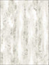 Chinchilla Fur fabric in light grey color - pattern number G67950 - by Patton Norwall in the Organic Textures collection