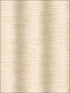 Zebra Stripe fabric in beige color - pattern number G67952 - by Patton Norwall in the Organic Textures collection