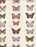 Jewel Butterflies Stripe fabric in beige color - pattern number G67992 - by Patton Norwall in the Organic Textures collection