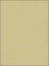 Coastal Hemp fabric in aloe color - pattern number BV30454X - by Seabrook in the Beach House collection
