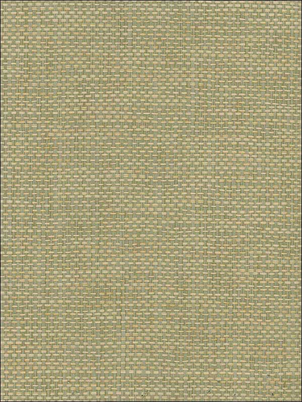 Paperweave fabric in green tan color - pattern number NR107X - by Seabrook in the Natural Resource Seabrook collection