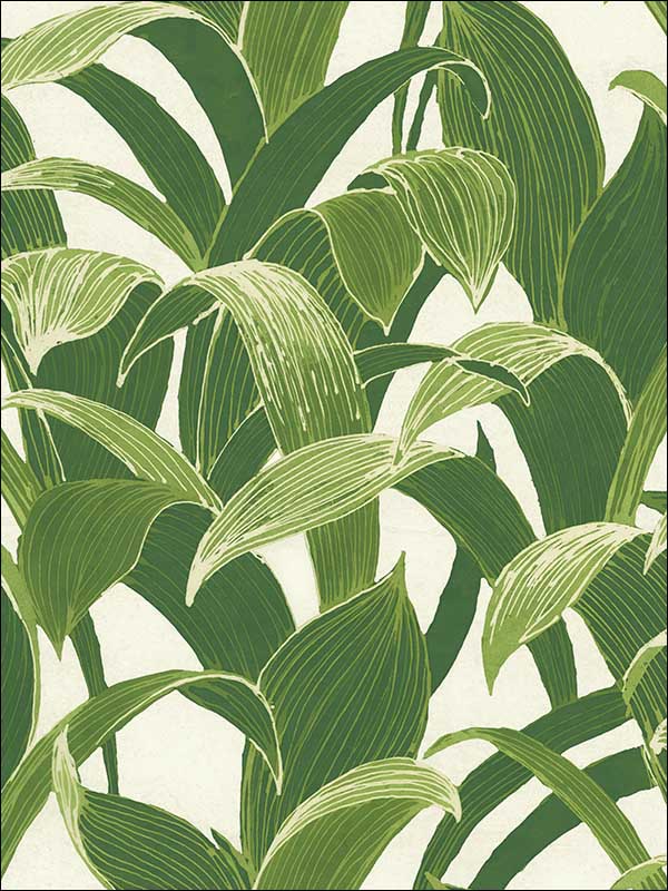 Banana Groves Peel and Stick wallpaper in green and white color - pattern number NW31300 - by NextWall in the Peel and Stick Wallpaper by Nextwall collection