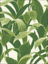 Banana Groves Peel and Stick wallpaper in green and white color - pattern number NW31300 - by NextWall in the Peel and Stick Wallpaper by Nextwall collection