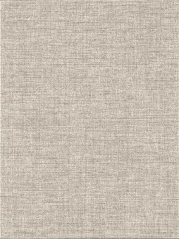 Essence Linen Texture fabric in neutral color - pattern number 2829-82058 - by A Street Prints in the Fibers collection