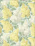 Lilac fabric in lemon olive prime blue color - pattern number 115/1003.CS.0 - by Cole and Son in the Botanical Botanica collection