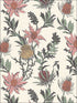 Thistle fabric in a pink orange parch color - pattern number 115/14043.CS.0 - by Cole and Son in the Botanical Botanica collection