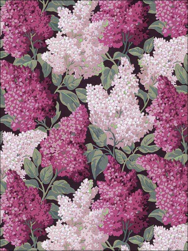 Lilac Grandiflora wallpaper in magenta blush on charcoal color - pattern number 115/15045.CS.0 - by Cole and Son in the Botanical Botanica collection