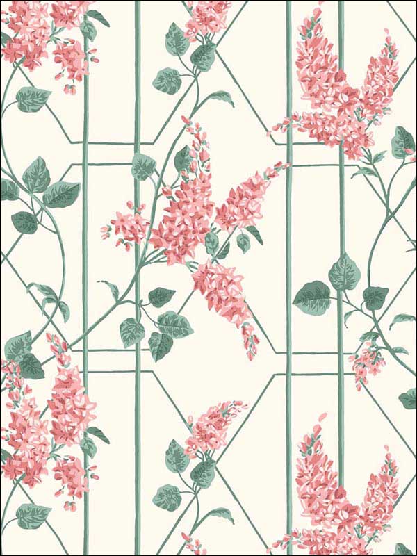 Wisteria wallpaper in coral sage parchment color - pattern number 115/5012.CS.0 - by Cole and Son in the Botanical Botanica collection