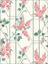 Wisteria wallpaper in coral sage parchment color - pattern number 115/5012.CS.0 - by Cole and Son in the Botanical Botanica collection
