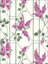 Wisteria wallpaper in magenta green white color - pattern number 115/5013.CS.0 - by Cole and Son in the Botanical Botanica collection