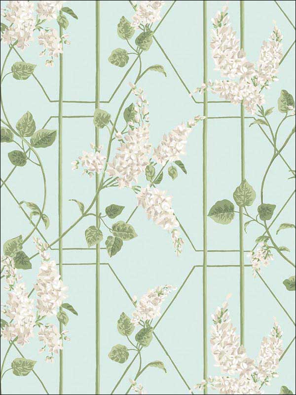 Wisteria wallpaper in stone olive duck egg color - pattern number 115/5014.CS.0 - by Cole and Son in the Botanical Botanica collection
