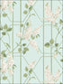 Wisteria wallpaper in stone olive duck egg color - pattern number 115/5014.CS.0 - by Cole and Son in the Botanical Botanica collection